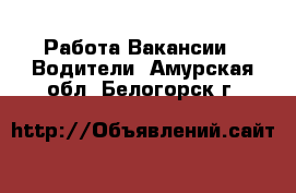 Работа Вакансии - Водители. Амурская обл.,Белогорск г.